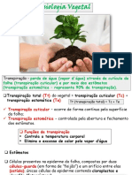 Fisiologia Vegetal I