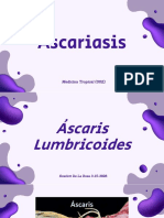Ascariasis 2