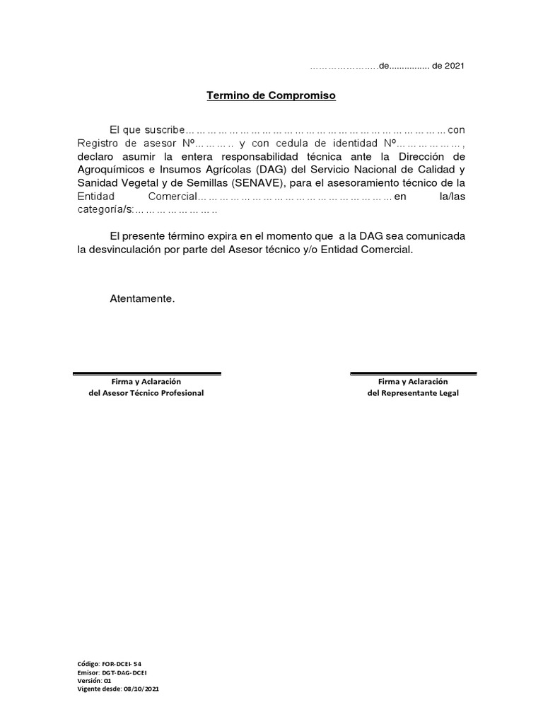 Compromiso Asesor Técnico DCEI | PDF | Finanzas y dinero