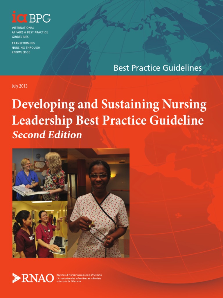 developing-and-sustaining-nursing-leadership-pdf-nursing-health-care