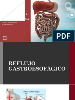 1.4 La Terapeutica Homeopatica en La Clinica Gastroenterologica