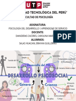 Organizador Visual S15.1