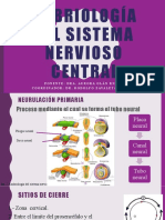 Embriología Del Sistema Nervioso Central