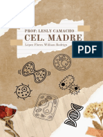 Las Celulas Madre