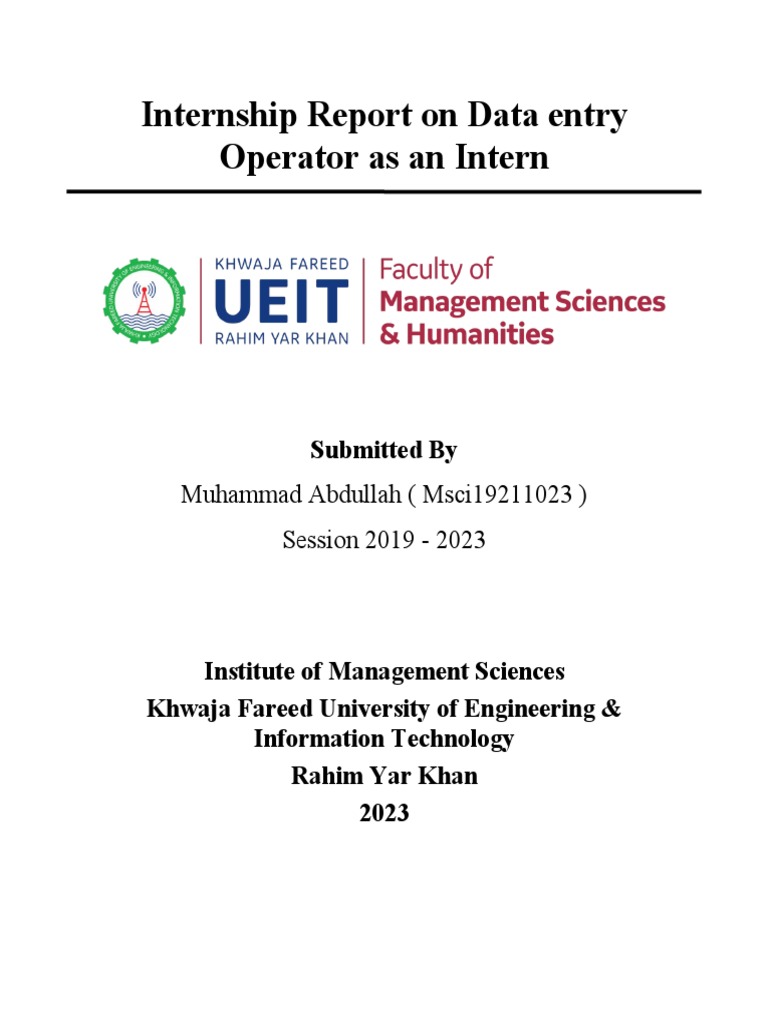 Data Entry Internship Experience Report | PDF | Databases | Data