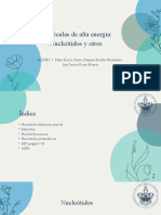 Moléculas de Alta Energía Nucleótidos y Otros