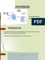 Electrophoresis 1