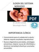 Desarrollo Embrionario Del SNC