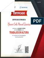 Curso Trabajos en Altura - Doc 47887486 - Pfoccori Coila Manuel Zacarias