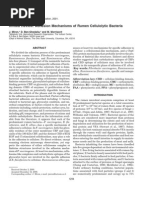 Download Cellulosome Adhesion by Angeles Sanchez SN66988336 doc pdf