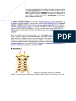 Estructura