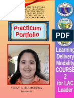 LDM Practicum Portfolio Lac Leaders Group 1 Liza Iranzo