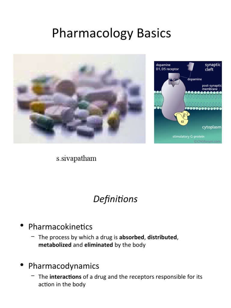 Pharmacology Basics PDF Receptor Antagonist Agonist