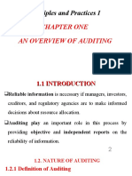 Chapter One An Overview of Auditing: Auditing Principles and Practices I