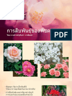 การสืบพันธุ์ของพืชดอก