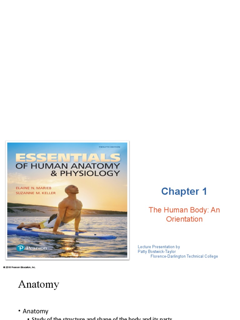 Introduction to Human Anatomy and Physiology | PDF | Stomach | Human ...