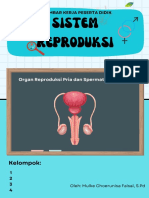 LKPD 1 - Sistem Reproduksi Pria