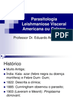 Parasitologia Leishmaniose Visceral Americana Ou Calazar: Professor Dr. Eduardo Arruda