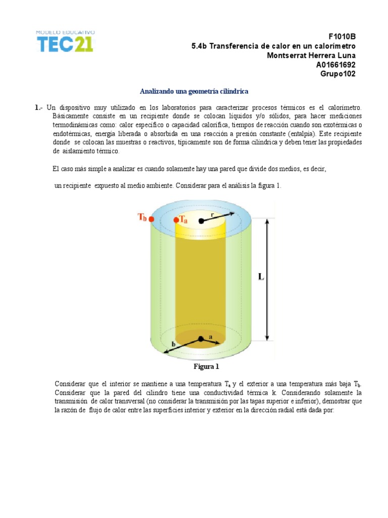 Transferencia de Calor en Calorímetros Cilíndricos | PDF | Calor ...