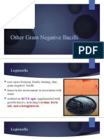 Other Gram Negative Bacilli - PPTX Filename UTF-8 Other Gram Negative Baci