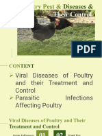 Viral Diseases and Parasitic Infectious