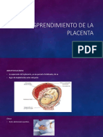 Desprendimiento de La Placenta (Autoguardado)