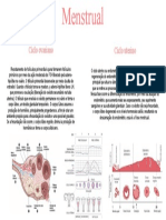 Ciclo Mestrual