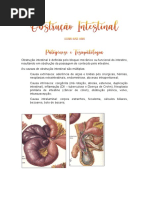Bridas e Volvo Intestinal: Causas e Tratamento | PDF | Trato ...