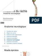 Anatomie Neurologique Du Rachis