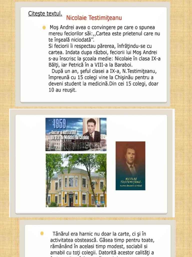 Domenii Profesionale | PDF
