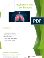 Exposición Del Sistema Respiratorio.