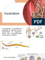 Trabalho de Zoológia