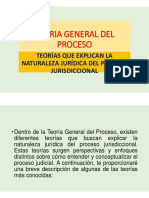 Teorias Que Explican La Naturaleza Juridica Del Proceso Jurisdiccional-Practica - 23 de Agosto