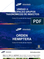 Sesión 8 - El Mundo de Los Insectos - Hemiptera y Trichoptera