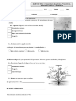 QA 4 - Plantas - 22-23 - Potra