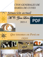 Produccion de Cuyes 2021-I