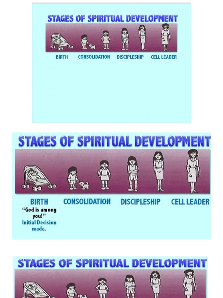 Stages of Development | PDF