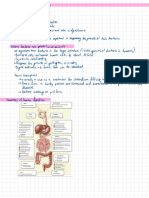 Key Parts of The Digestive System