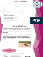 Tema La MALARIA Grupo 3