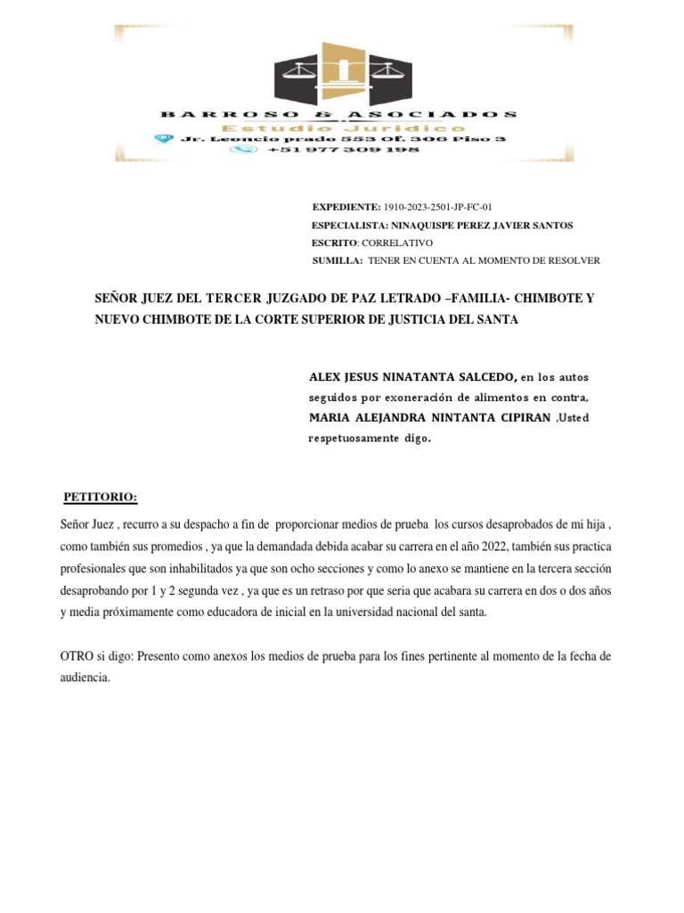 Solicito Que Se Tome en Cuenta | PDF