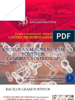 6 Genero Clostridium