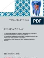 Terapia Pulpar