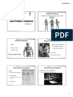 Introdução Ao Estudo Da Anatomia