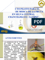 Exposicion Avances Proyecto Mosca1