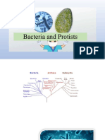 Bacteria and Protists