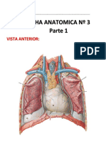 003 Ficha S. Cardiaco - Upeu Parte 1