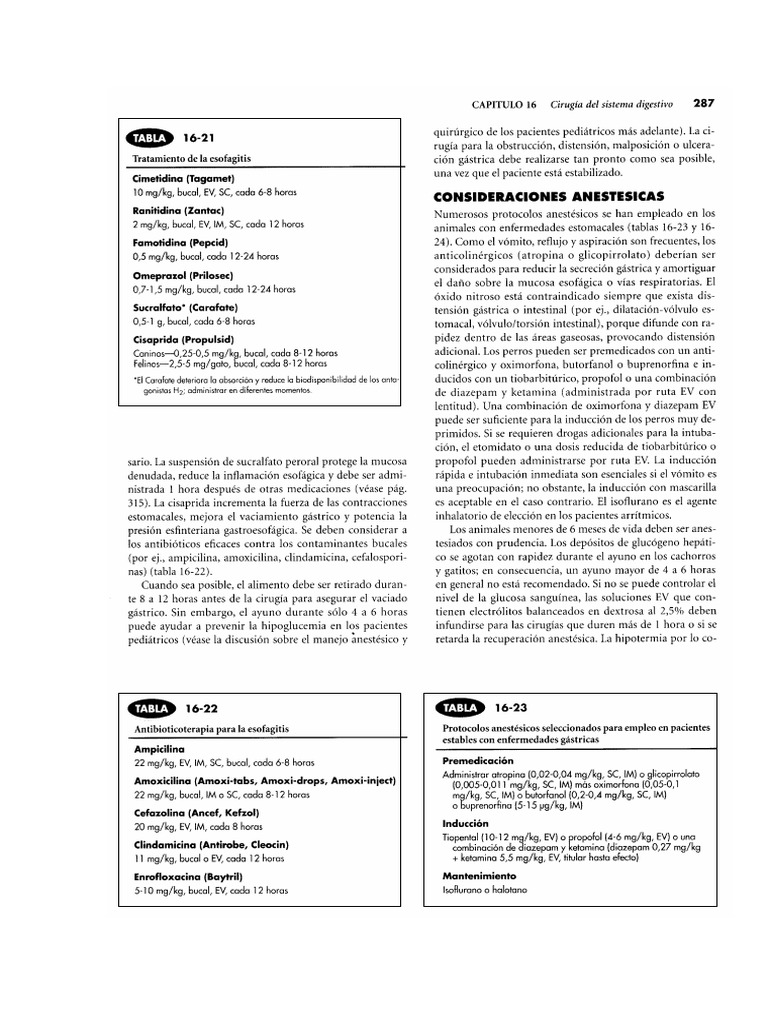 Parte 5 | PDF
