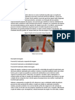 Resultados e Discursões Físico Química