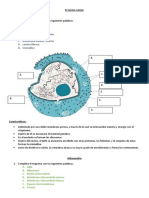 El Núcleo Celular 2año
