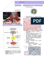 Tireoide